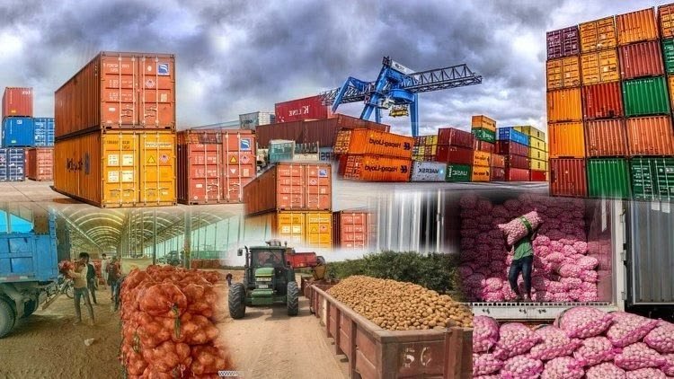Food and agricultural products